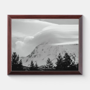 A Cold Day in March Award Plaque