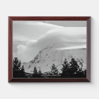 A Cold Day in March Award Plaque