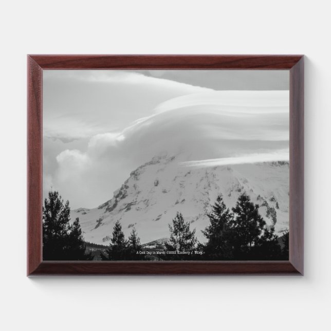 A Cold Day in March Award Plaque (Horizontal)