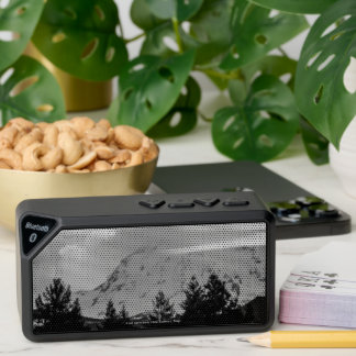A Cold Day in March Bluetooth Speaker