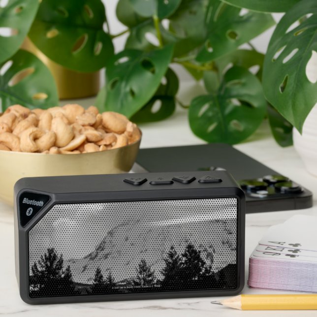A Cold Day in March Bluetooth Speaker (Insitu(Table))