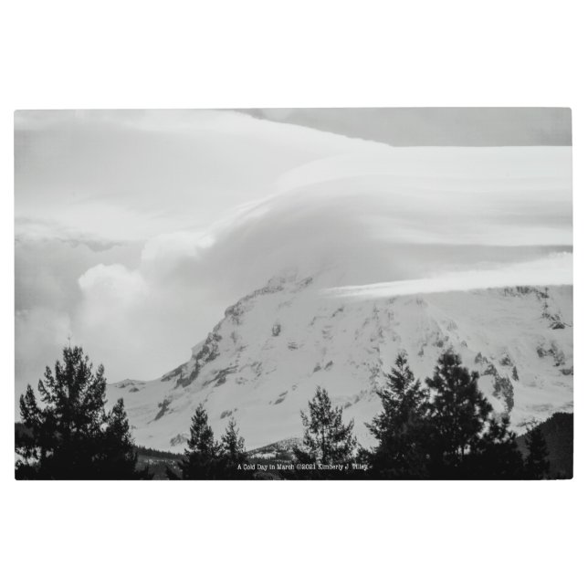 A Cold Day in March Metal Print (Front)