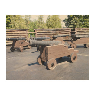 A Collection of Cannons Wood Wall Art