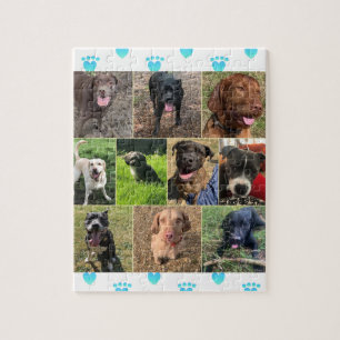 A Collection Of Dogs Puzzle