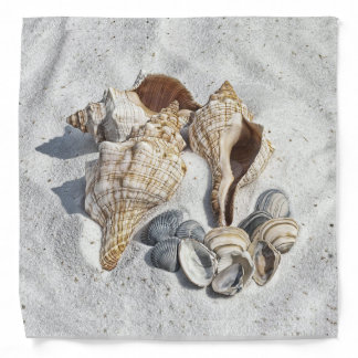 A Collection of Seashells on Sand Bandana