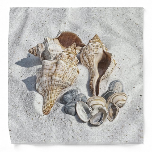 A Collection of Seashells on Sand Bandana (Front)