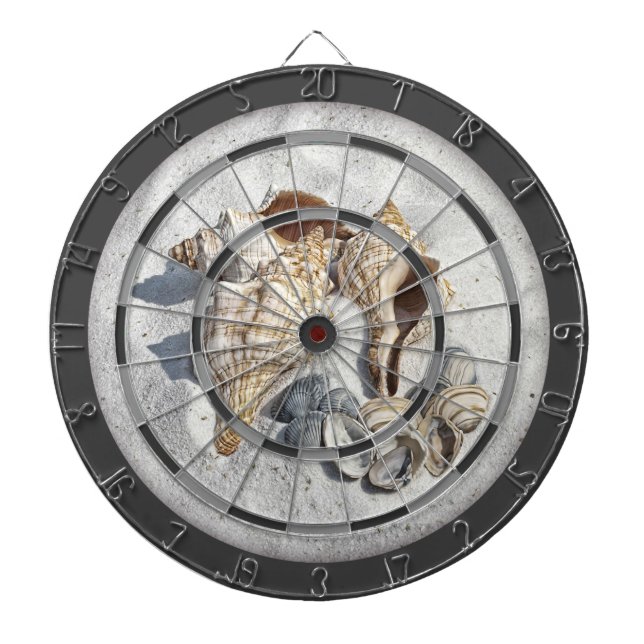 A Collection of Seashells on Sand Dart Board (Front)