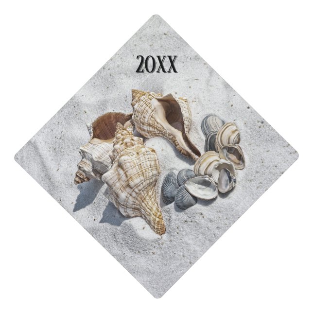 A Collection of Seashells on Sand Graduation Cap Topper (Front)