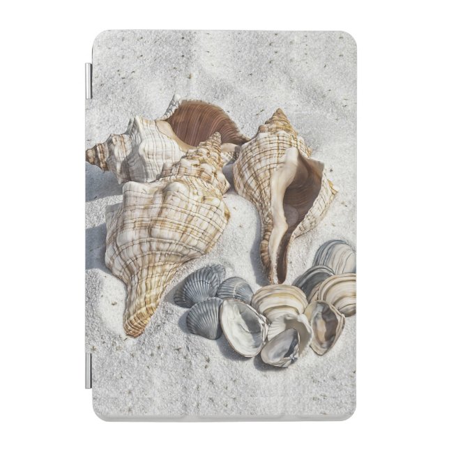 A Collection of Seashells on Sand iPad Mini Cover (Front)