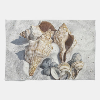 A Collection of Seashells on Sand Kitchen Towel