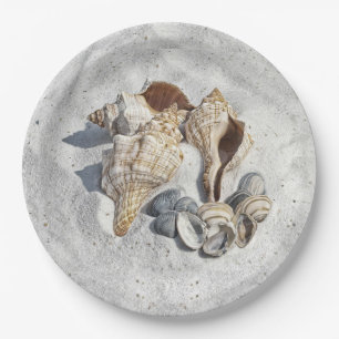 A Collection of Seashells on Sand Paper Plates