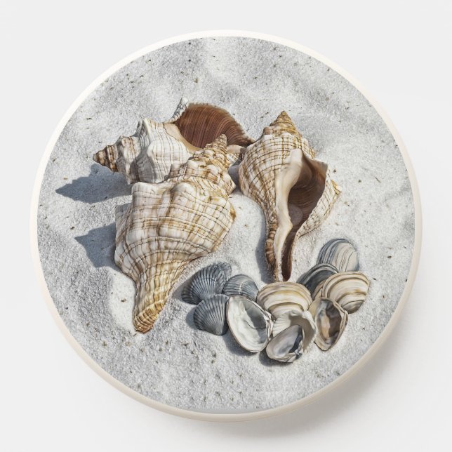 A Collection of Seashells on Sand PopSocket (Popsocket)
