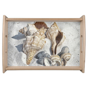 A Collection of Seashells on Sand Serving Tray
