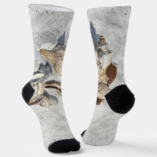 A Collection of Seashells on Sand Socks