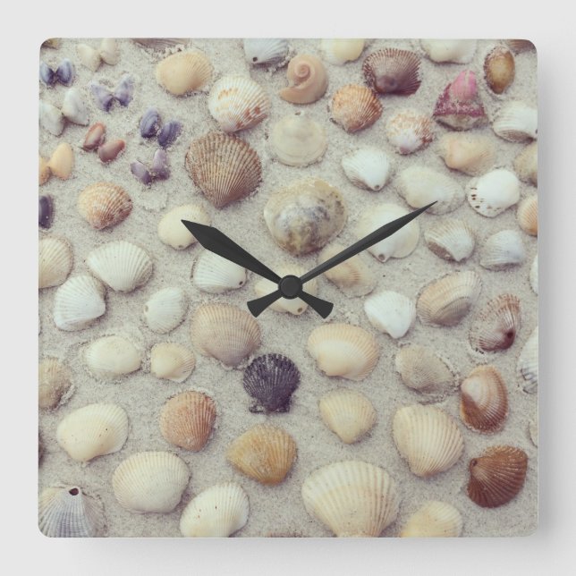 A Collection Of Seashells Square Wall Clock (Front)