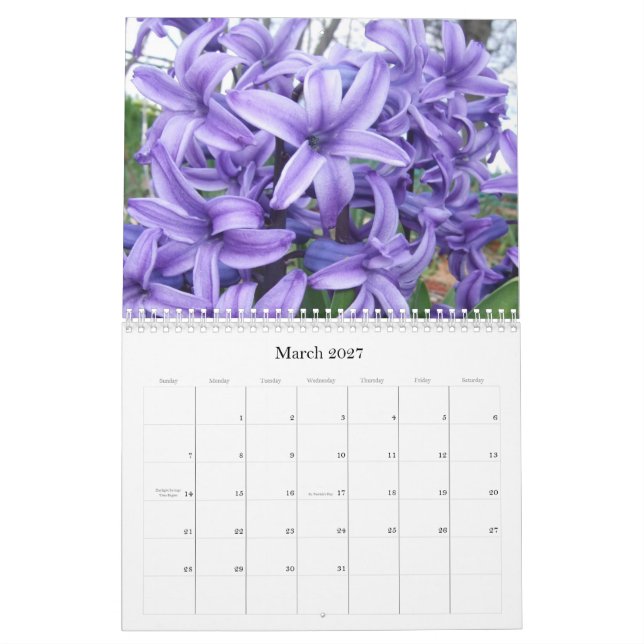A Collection of Seasons #1 Calendar (Mar 2027)