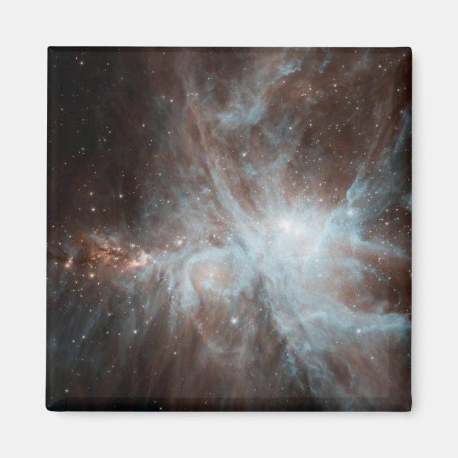 A colony of hot young stars in the Orion Nebula Magnet (Front)