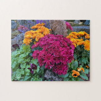 A Colorful Riot of Autumn Chrysanthemum Flowers Jigsaw Puzzle