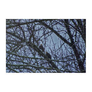 A Companion for Winter Acrylic Print