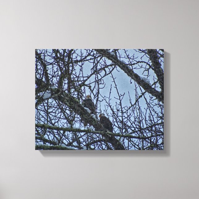 A Companion for Winter Canvas Print (Front)