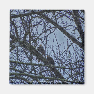 A Companion for Winter Magnet