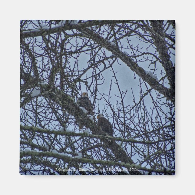 A Companion for Winter Magnet (Front)