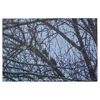A Companion for Winter Metal Print