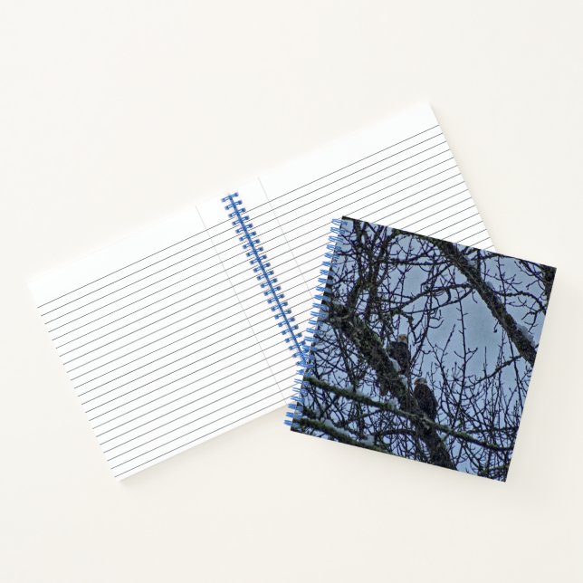 A Companion for Winter Notebook (Inside)
