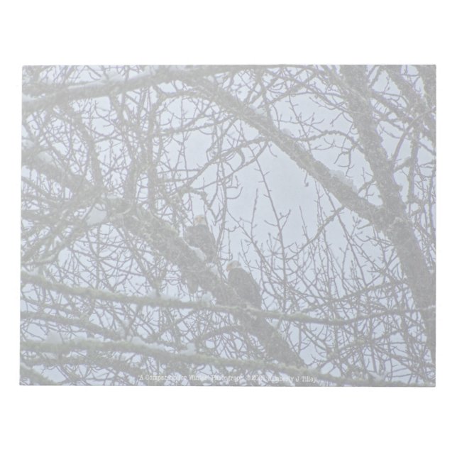 A Companion for Winter Notepad (Front)