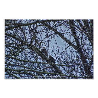 A Companion for Winter Photo Print