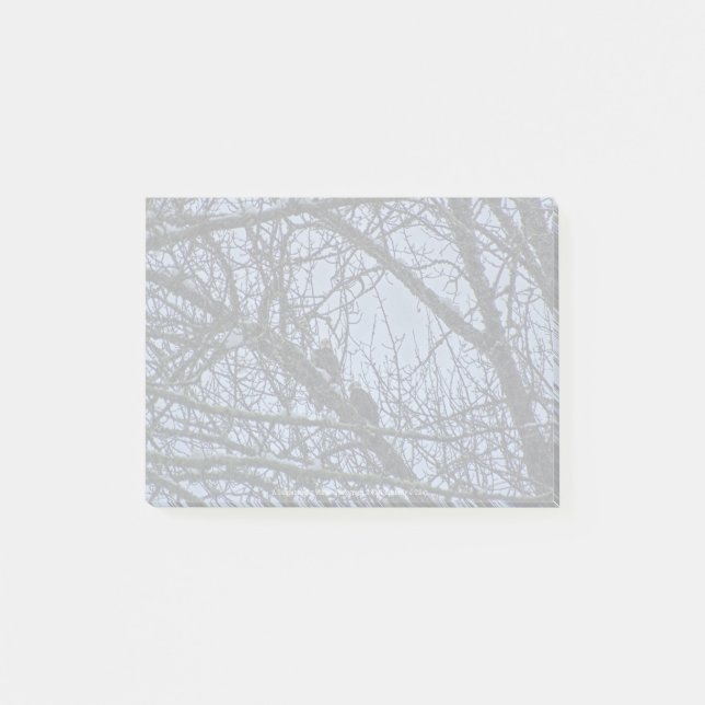 A Companion for Winter Post-it Notes (Front)