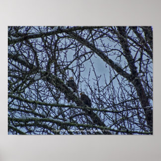 A Companion for Winter Poster