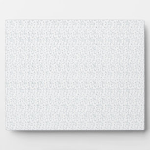 A completely white, featureless surface fills the plaque