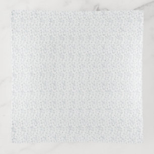 A completely white, featureless surface fills the trinket tray