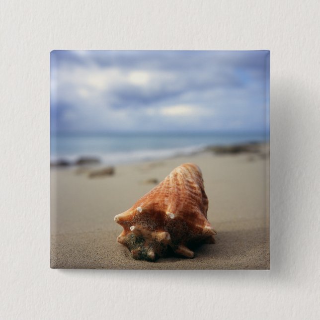 A Conch Shell On The Beach | St. Croix, Usvi Button (Front)