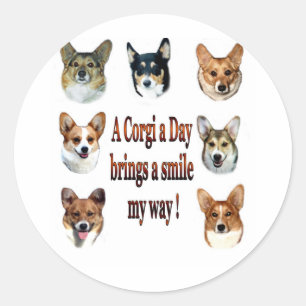 A Corgi a Day Brings a Smile 7 Classic Round Sticker