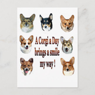 A Corgi a Day Brings a Smile 7 Postcard