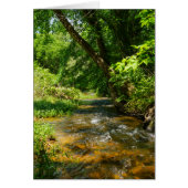 A Country Creek (Front)