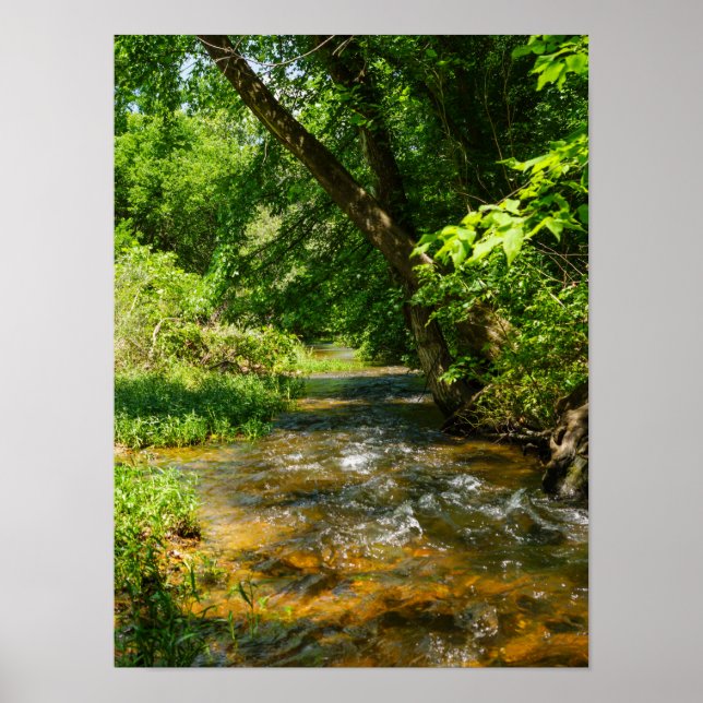A Country Creek Poster (Front)