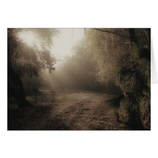 A country road in Florida