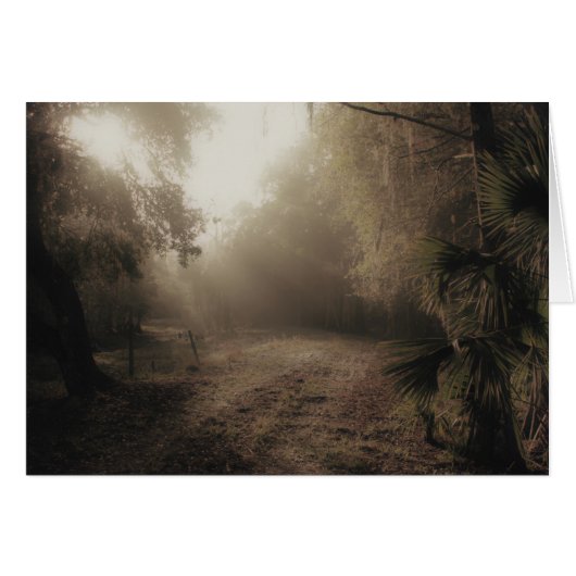 A country road in Florida (Front Horizontal)