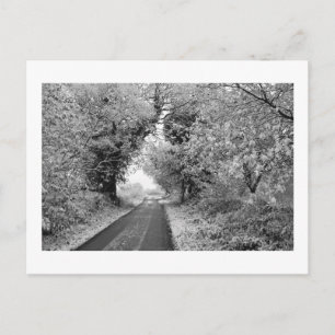 A Country Road in Winter: Cheshire, England Postcard