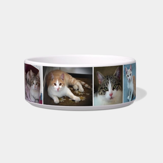 A Couple of Kitties Bowl (Front)