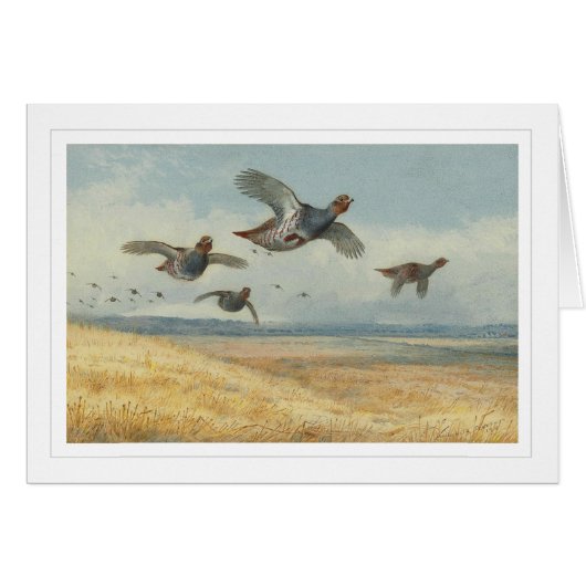 A Covey of Partridge Cards (Front Horizontal)