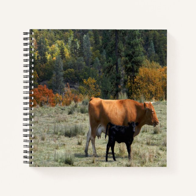 A cow and her calf... notebook (Front)