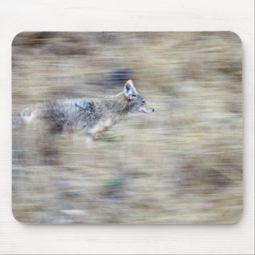 A coyote runs through the hillside blending into mouse pad
