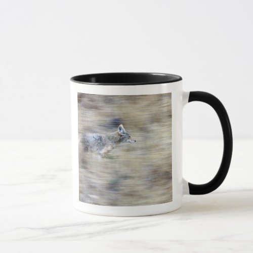 A coyote runs through the hillside blending into mug