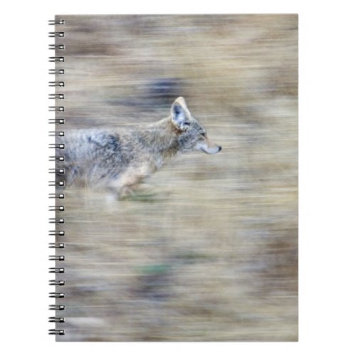 A coyote runs through the hillside blending into notebook
