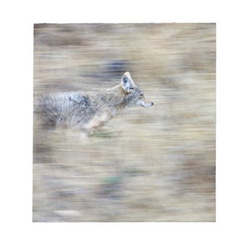 A coyote runs through the hillside blending into notepad