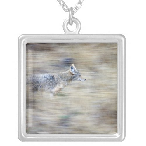 A coyote runs through the hillside blending into silver plated necklace